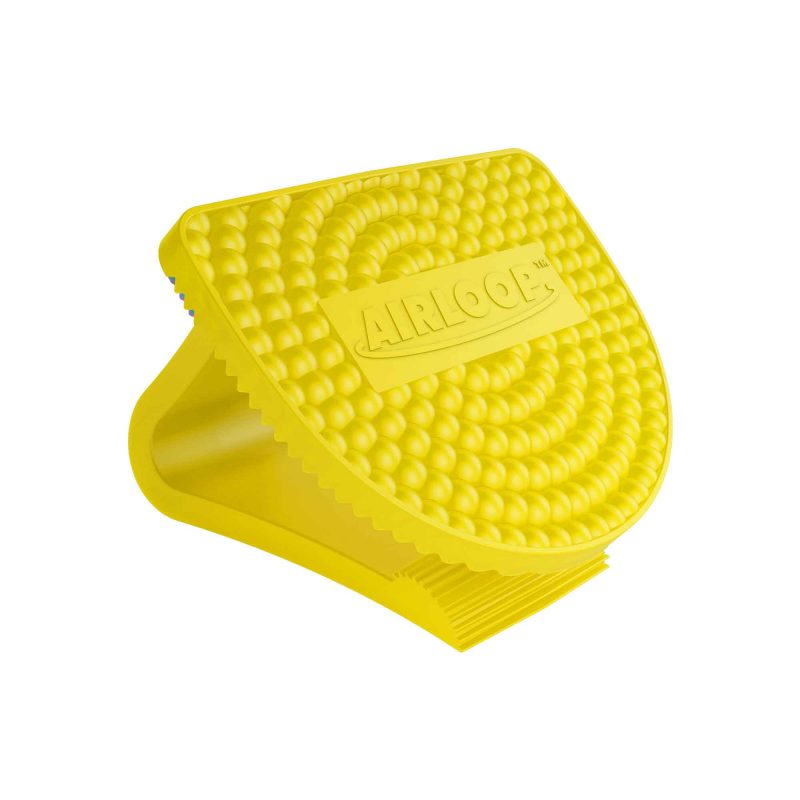 CS 10 VECTAIR AIRLOOP CITRUS  MANGO TOILET BOWL CLIP